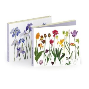Elizabeth Blackadder Floral Notecards